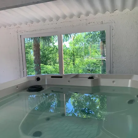Le Pic Du Midi D'ossau - - Piscine - Jardin * Lescar