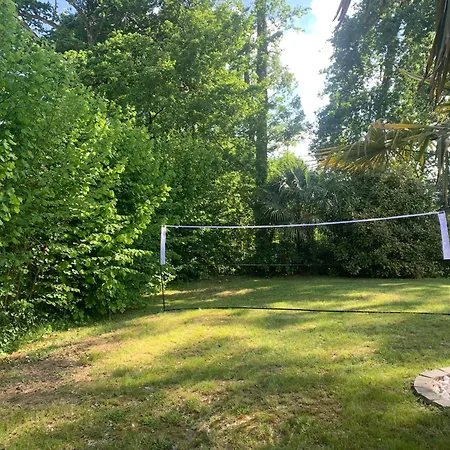 Apartamento Le Pic Du Midi D'ossau - - Piscine - Jardin